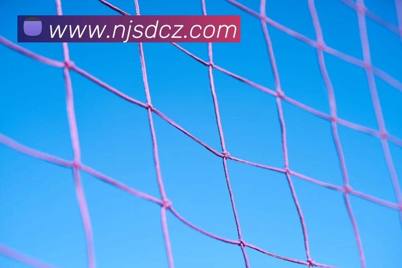 App Interface Preview